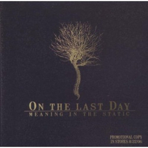 MEANING IN THE STATIC - CD