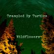 WILDFLOWERS (7 ) - 7 INCH VINYL